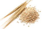 Barley Recipes