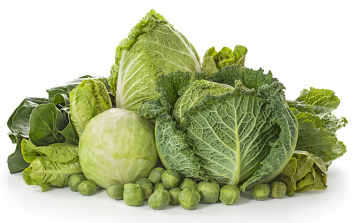  assorted raw cabbages in a pile