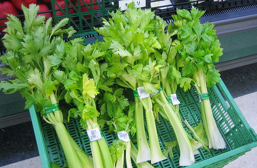 bunches of celery with their leafy tops in a bin