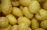 Delaware Potatoes