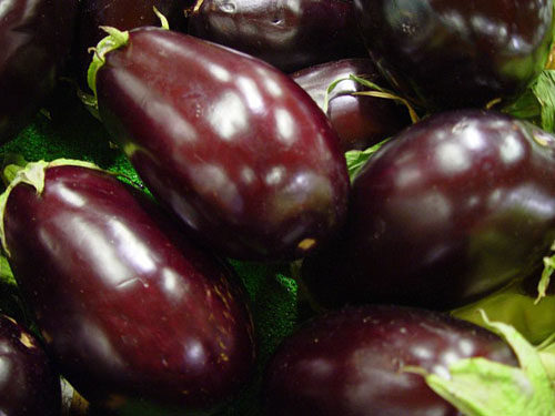 pile of dark purple raw eggplants with their leafy tops