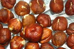 pile of hazelnuts