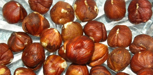 pile of hazelnuts