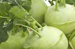 five raw kohlrabi roots with leafy tops