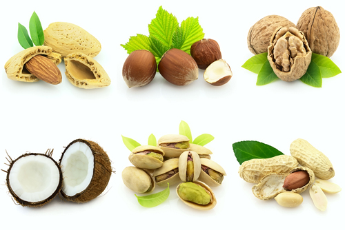 almonds, coconut, hazel nut (filbert), peanuts, pistachios, walnuts