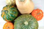 assortment of six different winter squashes