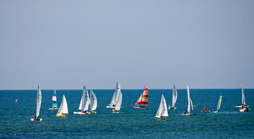 a group of sailboats sailing near each other in the Ocean