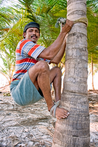 barefoot man climbing a tree using foot and hand ropes